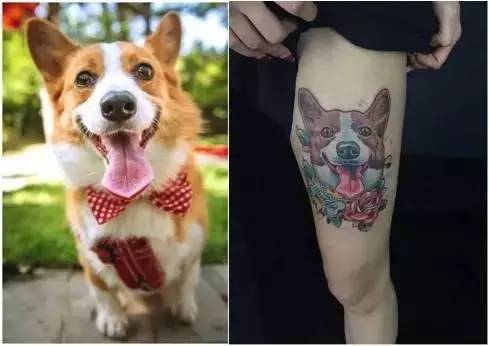 这场还原“暮光之城”的波西米亚婚礼，一只心机柯基告捷抢镜