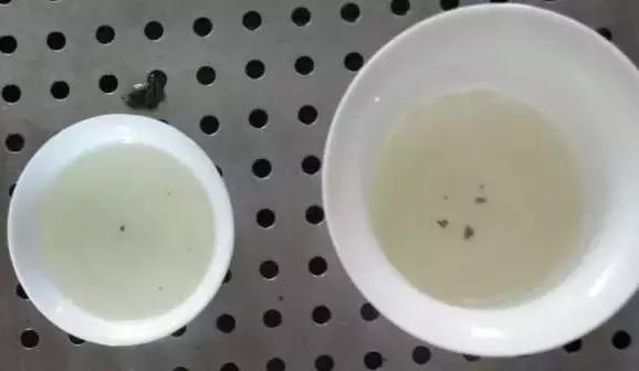 铁观音为什么味道淡,铁观音很苦涩