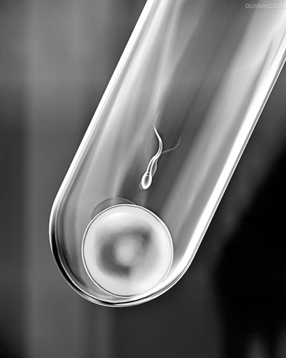 自然怀上双胞胎的秘诀,怀双胞胎的告捷经历怎么写