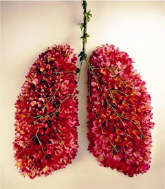 怎样减轻二手烟的危害 (怎么才能减轻二手烟的危害)