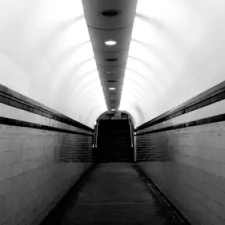 新西兰对动物都很友好吗,新西兰对待动物