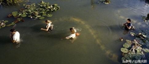 十部顶级巨蟒,盘点不同系列的巨蟒