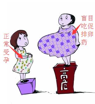 自然怀上双胞胎的秘诀,怀双胞胎的告捷经历怎么写