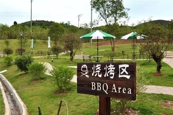 武夷山高档民宿,武夷山好住宿