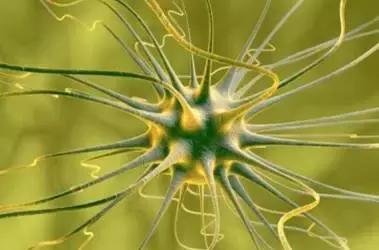 抖腿不是病，只因儿时一不小心见过洗脸盆