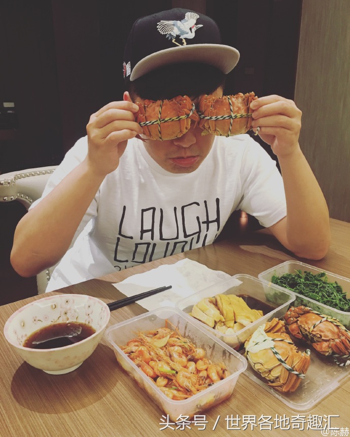 陈赫晒太可爱的狗,陈赫养的是什么猫