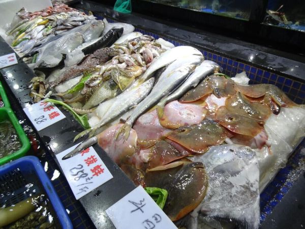 观音山附近海鲜大排档,厦门观音山渔夫码头酒楼