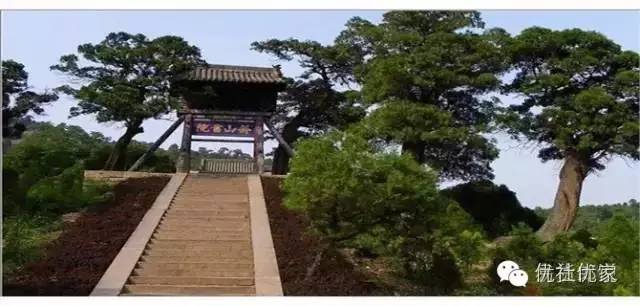 品尝山西红枣游览三晋名胜