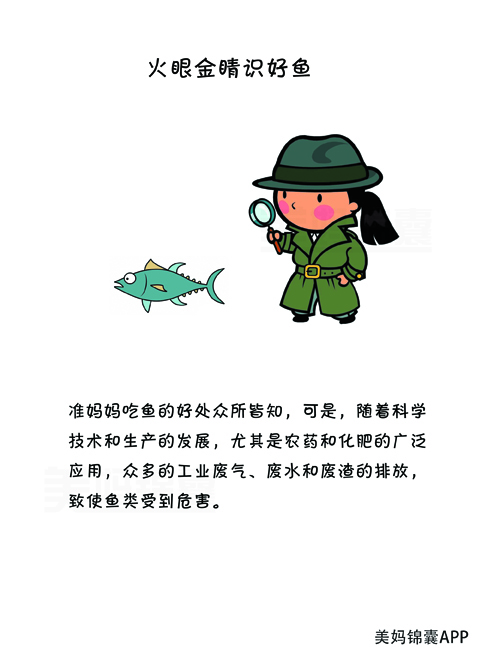 孕妇早期最合适吃的六种鱼,怀孕初期合适吃什么深海鱼