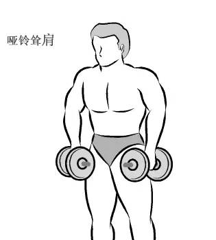 在家用哑铃锻炼背详细教学,瘦子在家哑铃锻炼全身肌肉