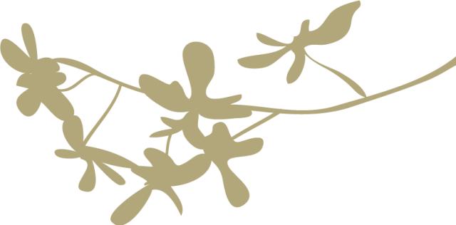 月饼怎么吃才不会发胖,吃月饼居然有这么多学问