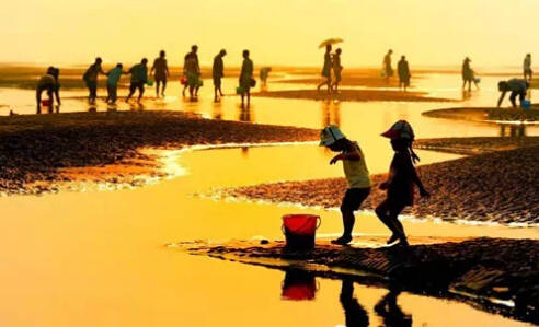 26个英文字母带你看懂我们大如东！