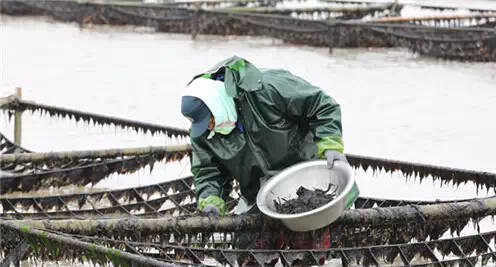 26个英文字母带你看懂我们大如东！