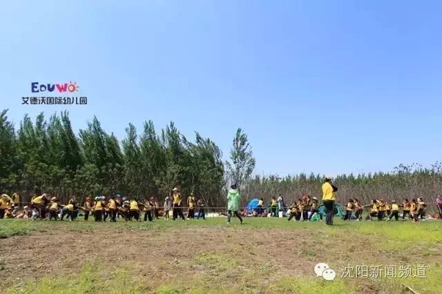 幼儿园老师有什么不同,不同老师的区别对待