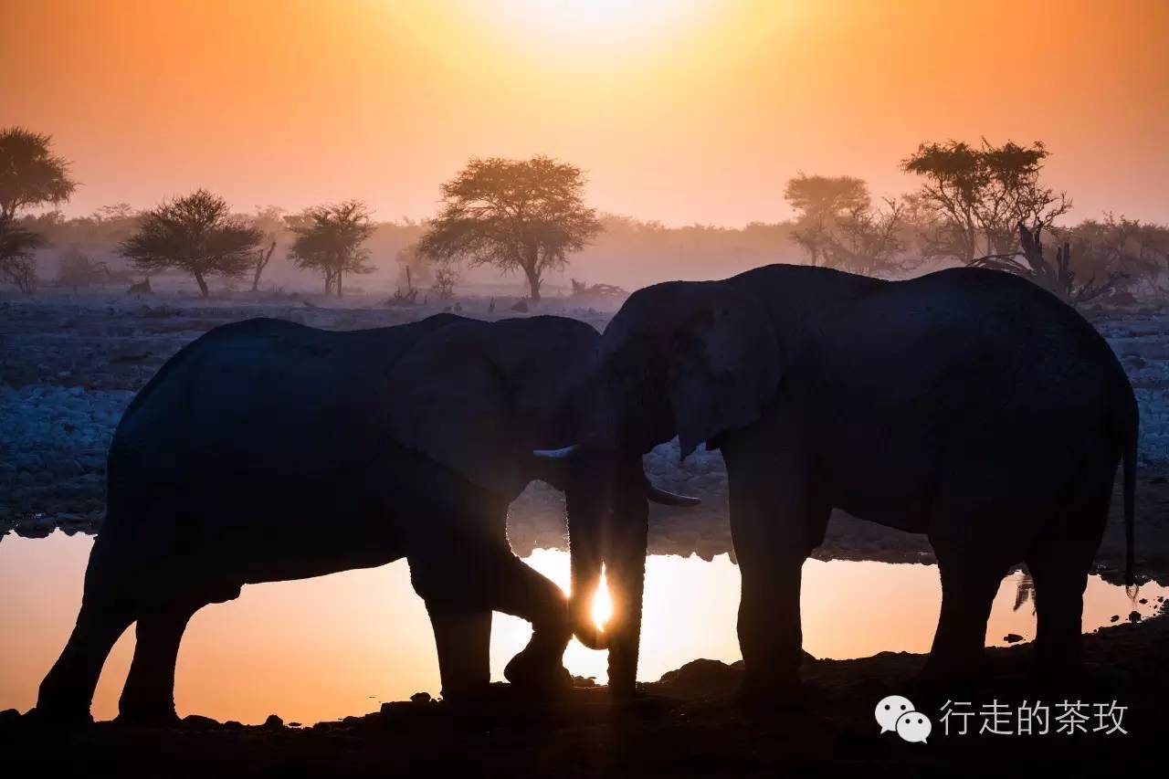 约伴自驾新疆,约伴出行西藏旅游