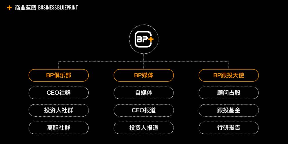 揭秘创业商业计划书第一人：崔大宝的BP生意经！