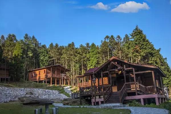 武汉周边打卡拍照圣地,武汉合适女生拍照打卡的地方