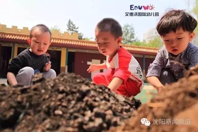 幼儿园老师有什么不同,不同老师的区别对待