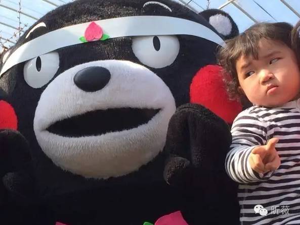 熊本熊发展历程,为什么是熊本熊