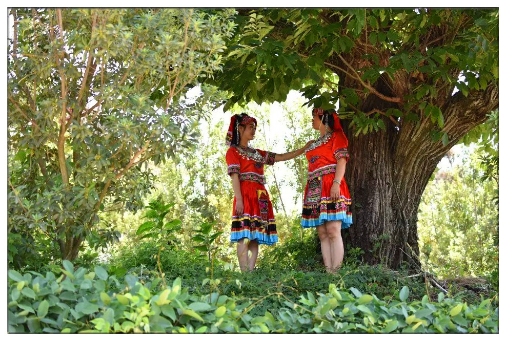 富民东村青泉山庄温泉视频,富民县东村镇青泉温泉