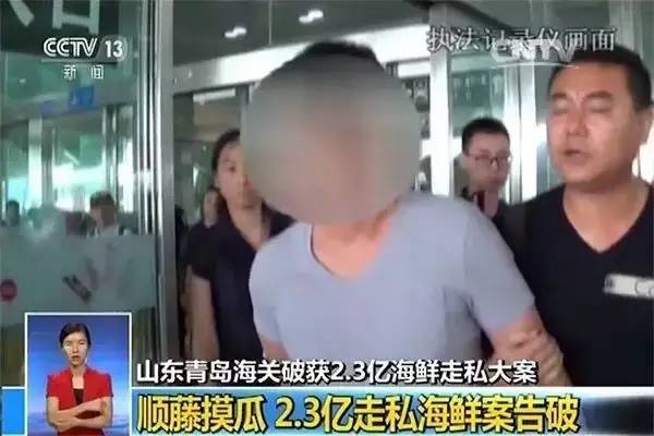 帝王蟹和海王蟹哪个更厉害,春节帝王蟹和波龙哪个更值得吃