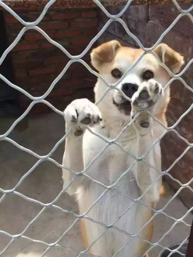 crc项目初期的准备工作,crc项目流程