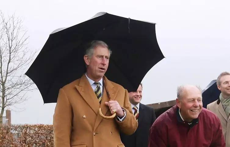 雨伞劳斯莱斯牌子,雨伞里的劳斯莱斯