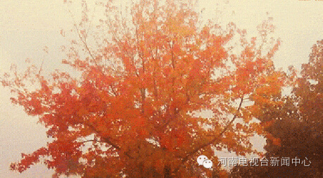 假期安全小贴士请查收,假期天气安全注意事项