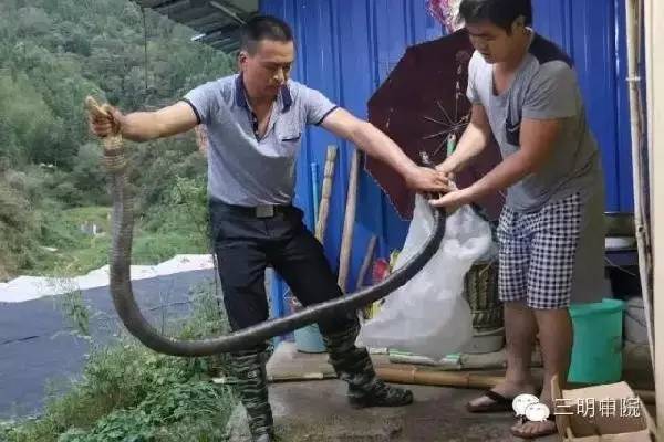 三明新闻速读：三明将乐县一女子因与古玩店店主有债务纠纷，*债讨**不成当街引燃液化气瓶相威胁