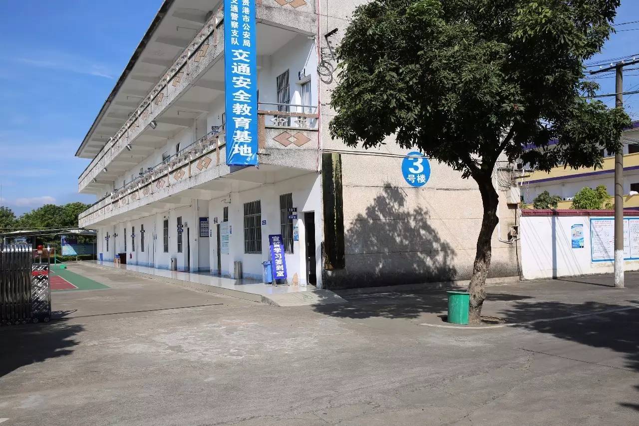 鏀惰棌椹剧収,鏀惰棌椹炬牎鎴愮哗