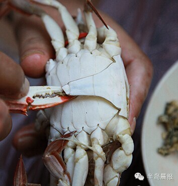 中秋合适吃大闸蟹么,中秋前要吃大闸蟹吗