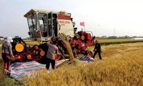 26个英文字母带你看懂我们大如东！