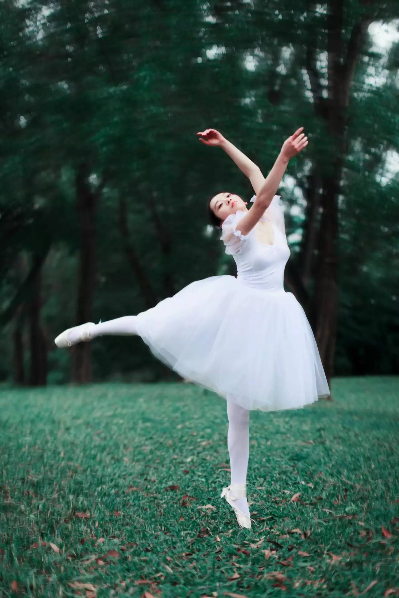 今日摄影师推荐｜未羊NAUIL