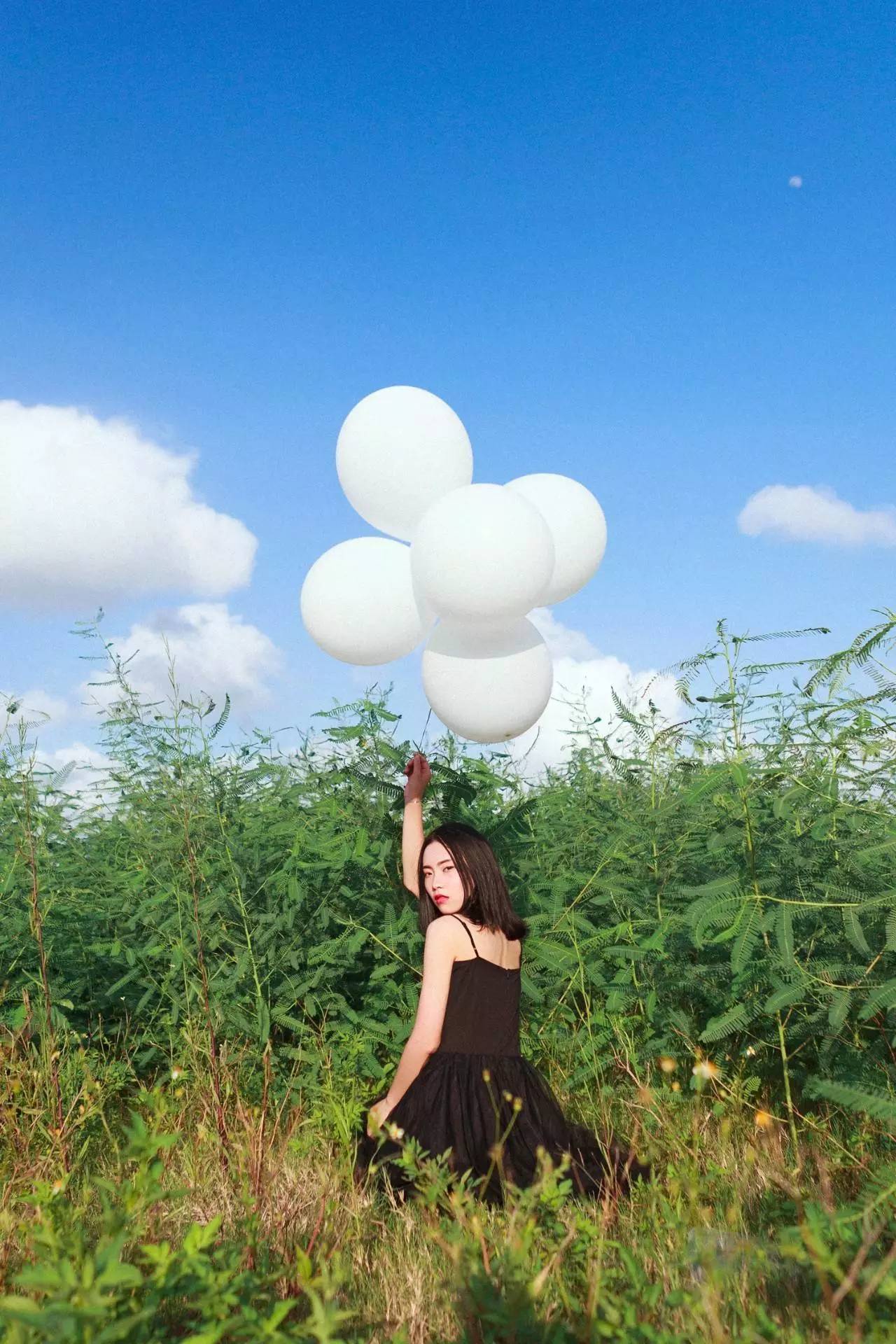 今日摄影师推荐｜未羊NAUIL