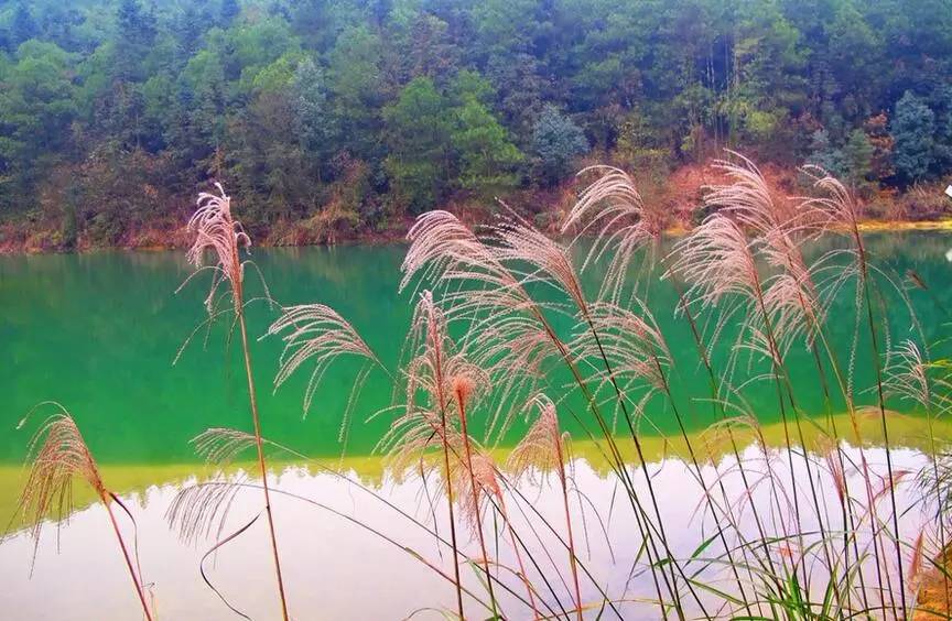 2020年重庆国庆期间景区排名 (重庆国庆期间景区推荐)