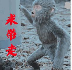 没想到你是这样的神狐小七！《青云志》灵（萌）兽（宠）大合集