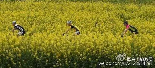 2020年重庆国庆期间景区排名 (重庆国庆期间景区推荐)