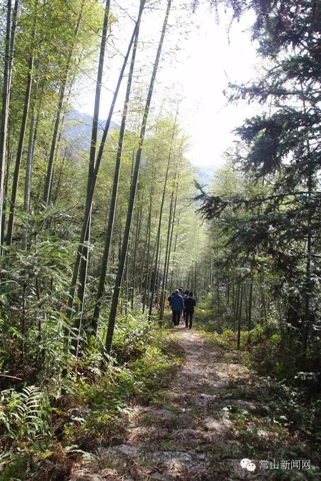 常山最好玩的是哪里,浙江常山最美景点
