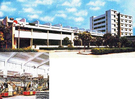 南海市历史影像,南海县老照片