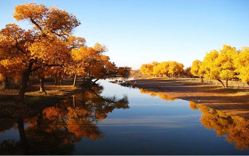 国庆特别策划②乐游·邂逅深秋醉美的内蒙古