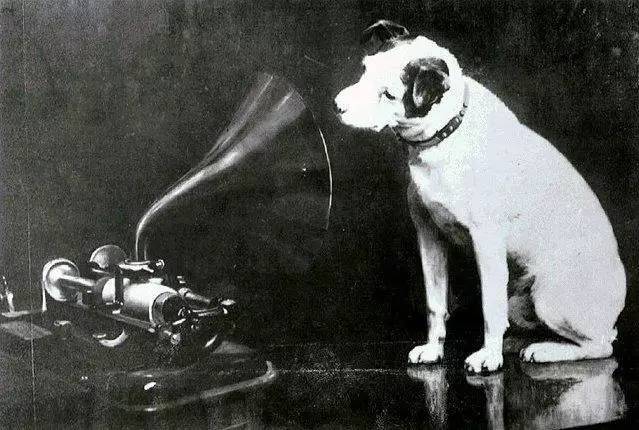 小狗尼帕Listen to His Masters Voice
