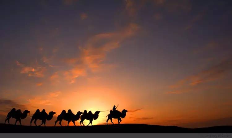 国庆特别策划②乐游·邂逅深秋醉美的内蒙古