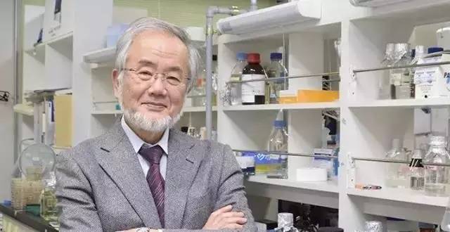 日本科学家大隅良典（YoshinoriOhsumi）获2016诺贝尔生理学和医学奖