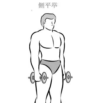 在家用哑铃锻炼背详细教学,瘦子在家哑铃锻炼全身肌肉