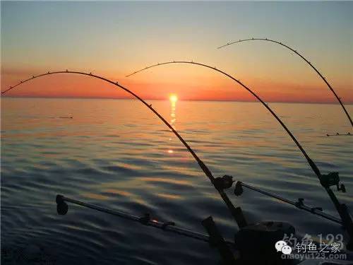 秋季抛竿水库钓鱼技巧,秋季抛竿钓草鱼饵料