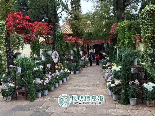 今年国庆节昆明八大公园免费,昆明国庆免费开放公园