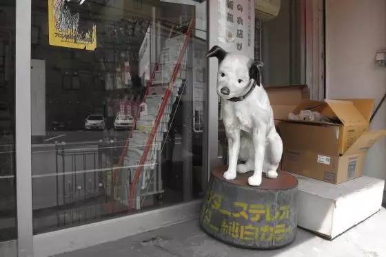 小狗尼帕Listen to His Masters Voice