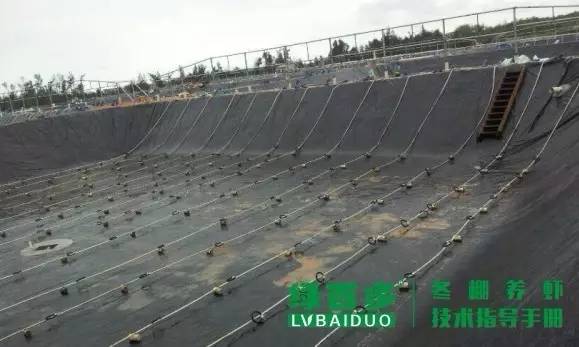 珠三角目前是冬棚虾养殖要害时期,掌握这几点冬棚养虾才能告捷