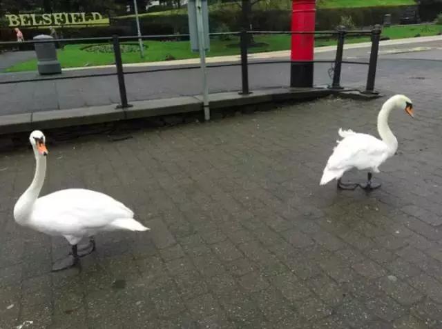 英国留学假期一览表,英国留学怎样才能留在英国