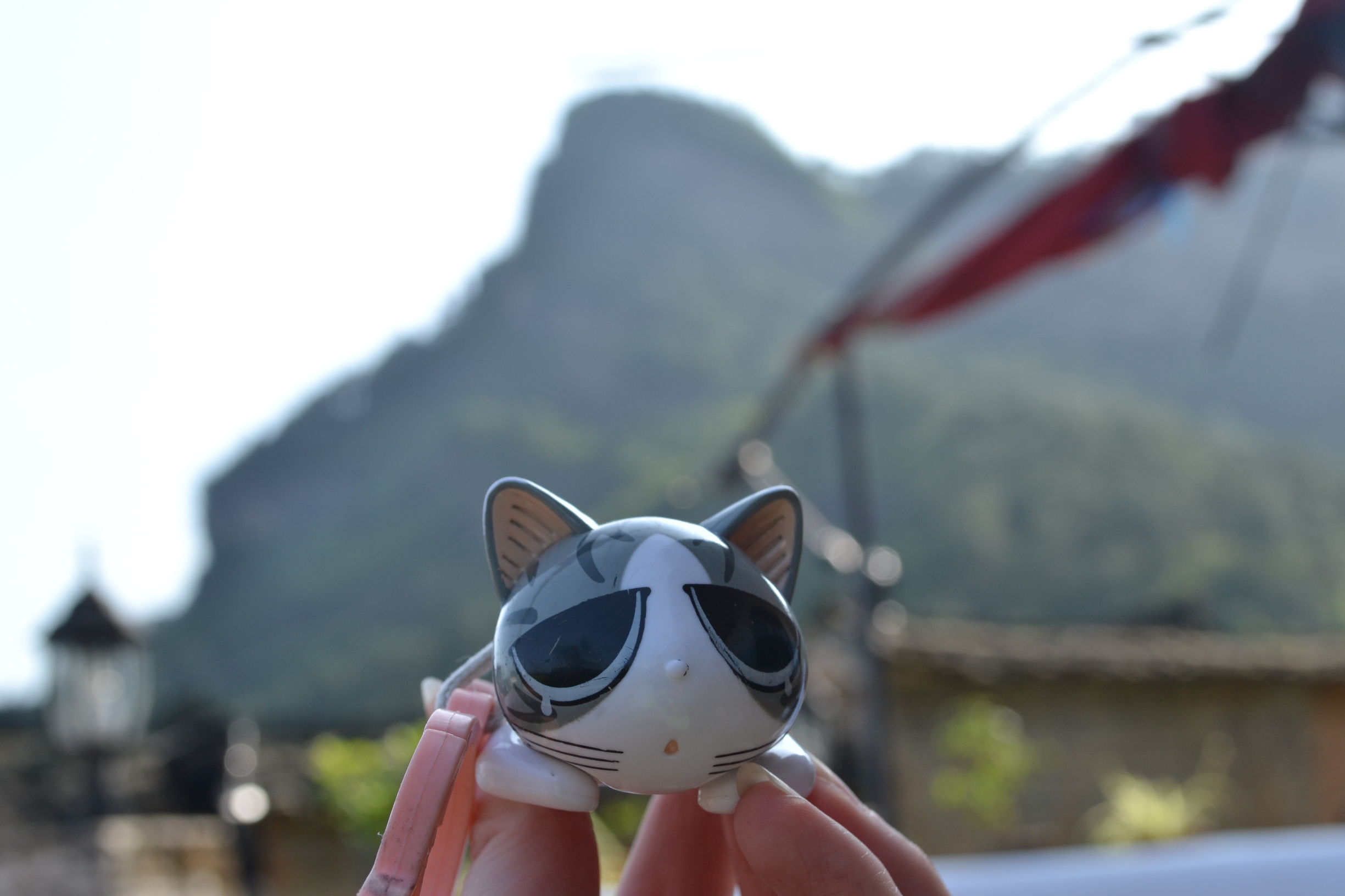 强行虐狗~合适情侣一起入住的温情酒店TOP12